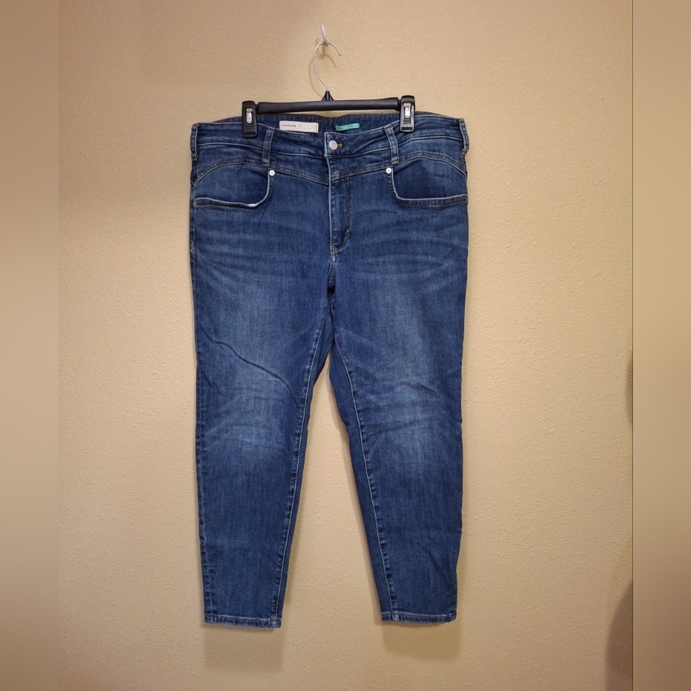 Pilcro Anthropologie Skinny Jeans High Waisted size 20W Plus